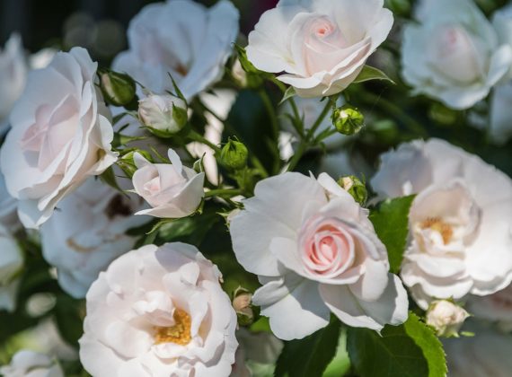 piantala-chi-siamo-img2-OK