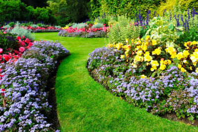 Aiuole Fiorite: Creare e Mantenere Splendide Bordure Colorate