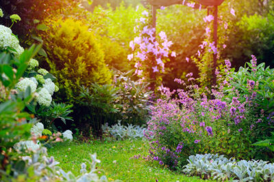 Giugno Verde: Tecniche Imperdibili per un Giardino Estivo Rigoglioso