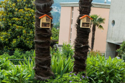 Biodiversità nel Giardino: Attirare Fauna Utile e Benefica