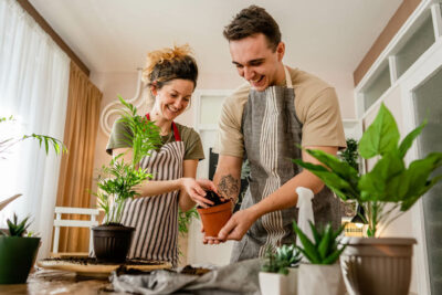 La Cura delle Piante da Interno: Portare il Verde Dentro Casa a Settembre