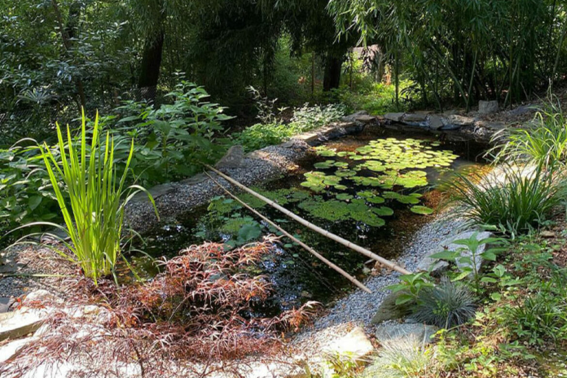 Giardini d’Acqua: Come Creare un Laghetto o una Fontana nel Tuo Spazio Verde