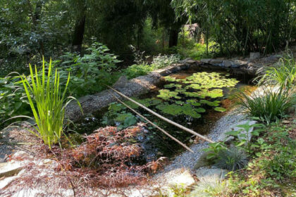 Giardini d’Acqua: Come Creare un Laghetto o una Fontana nel Tuo Spazio Verde