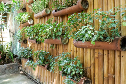 Come Progettare un Giardino Verticale: Idee e Ispirazioni