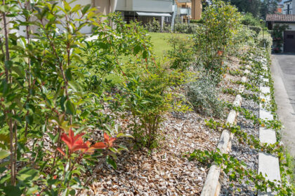 Manutenzione del Giardino: 20 Anni di Cura e Attenzione per i Tuoi Spazi Verdi