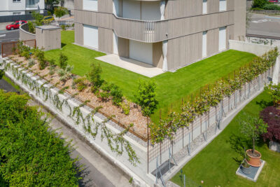 Costruzione di Giardini: L’Arte di Trasformare gli Spazi Verdi – 20 Anni di Esperienza al Tuo Servizio