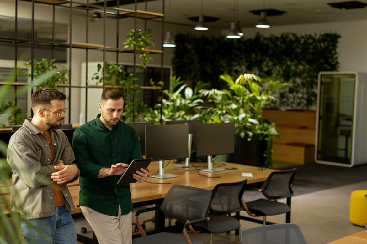 Verde stabilizzato e Piante da interno: molto più di un semplice tocco di verde in uffici e spazi abitativi