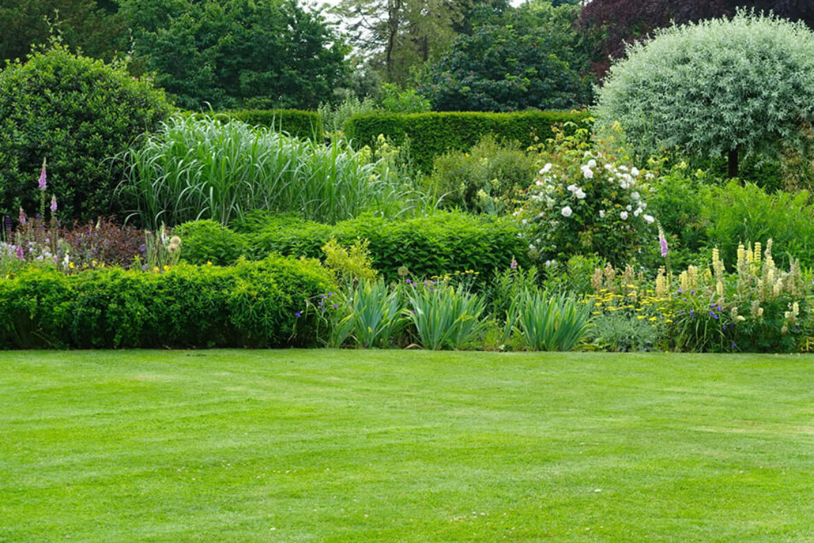 Prato da campioni: i nostri segreti per un tappeto erboso perfetto in Ticino a giugno