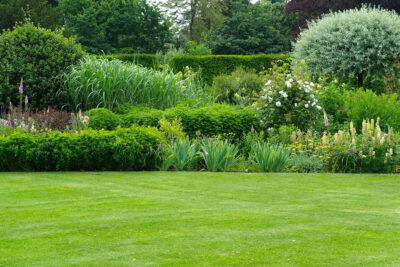 Prato da campioni: i nostri segreti per un tappeto erboso perfetto in Ticino a giugno