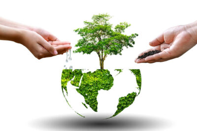 Giardino invisibile: come creare spazi verdi che operano silenziosamente per il comfort e la sostenibilità